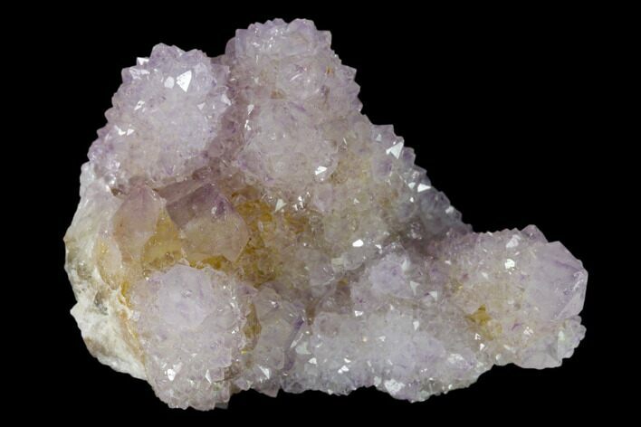 Cactus Quartz (Amethyst) Crystal Cluster - South Africa #137774